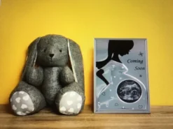 2 X 2 Coming Soon Baby Picture Frame -Dainolitly Shop https3A2F2Fcdn.shopify.com2Fs2Ffiles2F12F01282F29622F23312Fproducts2Fkk2064f.jpg3Fv3D1621345972 640x