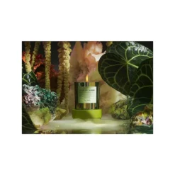 Agua De Jardin Candle -Dainolitly Shop https3A2F2Fimage.s5a.com2Fis2Fimage2FTheBay2F810012092685 alt23Fwid3D120026hei3D120026qlt3D9026resMode3Dsharp226op usm3D0.92C1.02C82C0 640x
