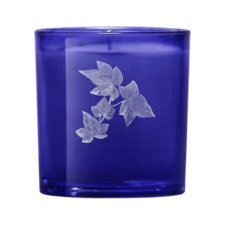 Hackney Garden Candle -Dainolitly Shop https3A2F2Fimage.s5a.com2Fis2Fimage2FTheBay2F810012095402 alt13Fwid3D120026hei3D120026qlt3D9026resMode3Dsharp226op usm3D0.92C1.02C82C0 640x