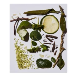 Bergamot Candle -Dainolitly Shop https3A2F2Fimage.s5a.com2Fis2Fimage2FTheBay2F850001835329 alt23Fwid3D120026hei3D120026qlt3D9026resMode3Dsharp226op usm3D0.92C1.02C82C0 640x